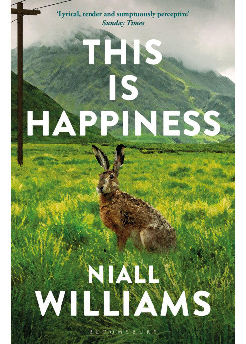 This Is Happiness: By the author of Four Letters of Love, now a major film starring Helena Bonham Carter and Pierce Brosnan