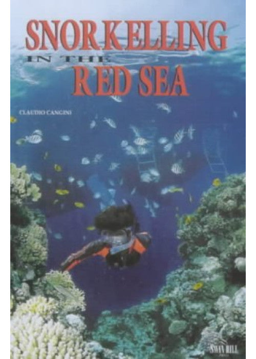 Snorkelling in the Red Sea