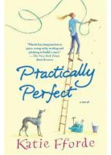 Practically Perfect: The feel-good escapist romcom from the Sunday Times bestselling author