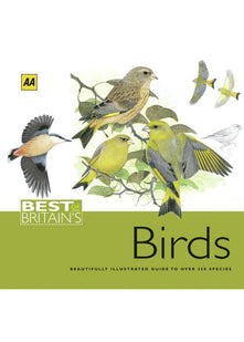 AA Best of Britain's Birds: Beautifully Illustrated Guide to Over 250 Species (AA Best of Britain's S.)