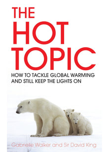 The Hot Topic: How to Tackle Global Warming and Still Keep the Lights on