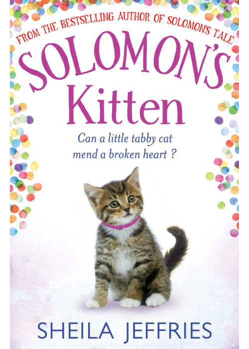 Solomon's Kitten