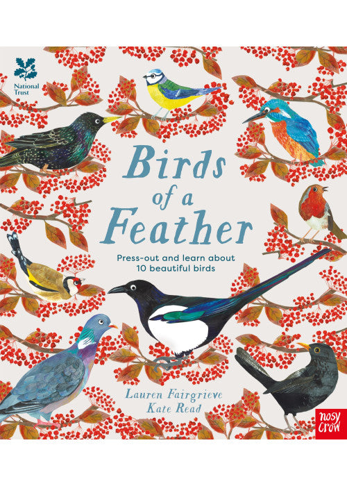 National Trust: Birds of a Feather: Press out and learn about 10 beautiful birds