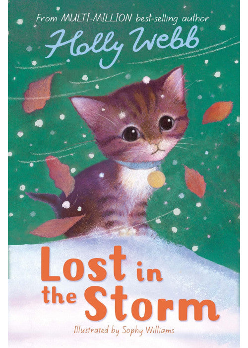 Lost in the Storm: 3 (Holly Webb Animal Stories, 3)