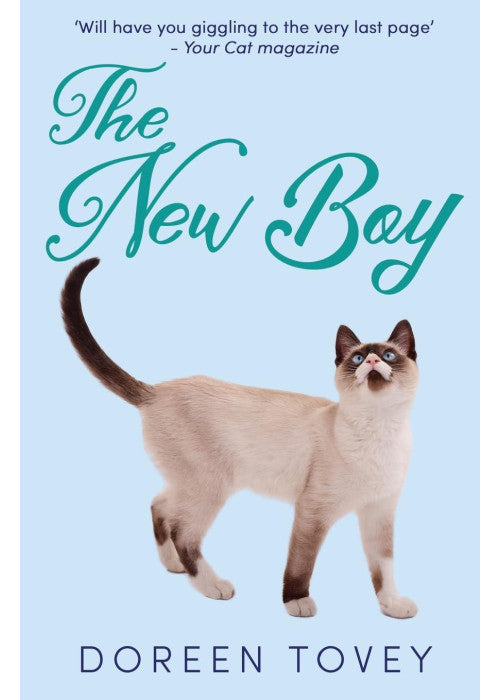 The New Boy: 5 (Feline Frolics)