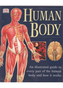 Human Body: An Illustrated Guide To Every Part Of The Human Body And How It Works