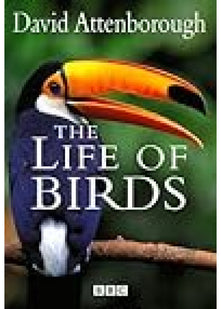 The Life of Birds
