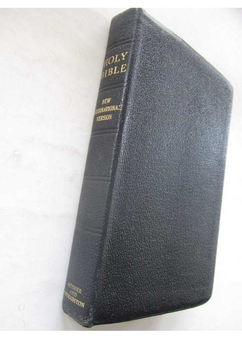 New International Version (Bible)