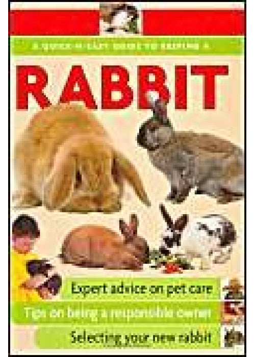 Quick-N-Easy Guide to Keeping a Rabbit