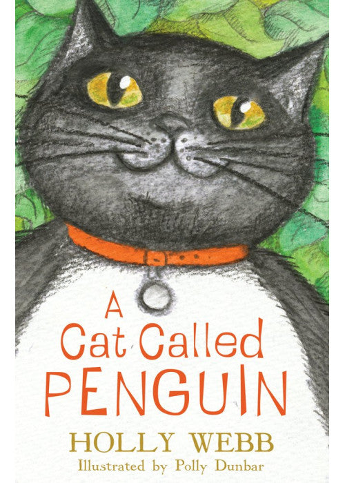 A Cat called Penguin