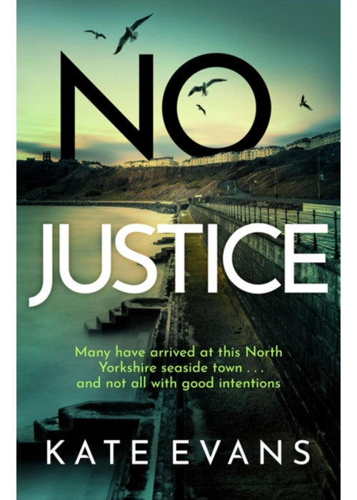 No Justice (DC Donna Morris)