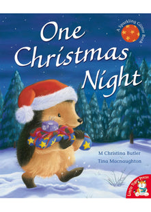One Christmas Night (Little Hedgehog)