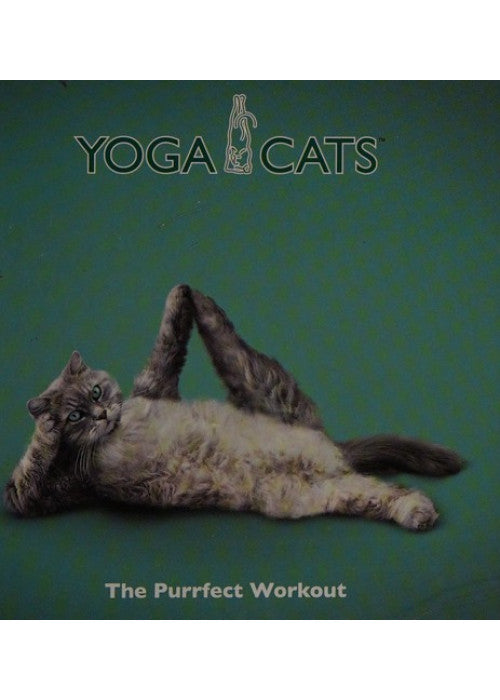 Yoga Cats: The Purrfect Workout