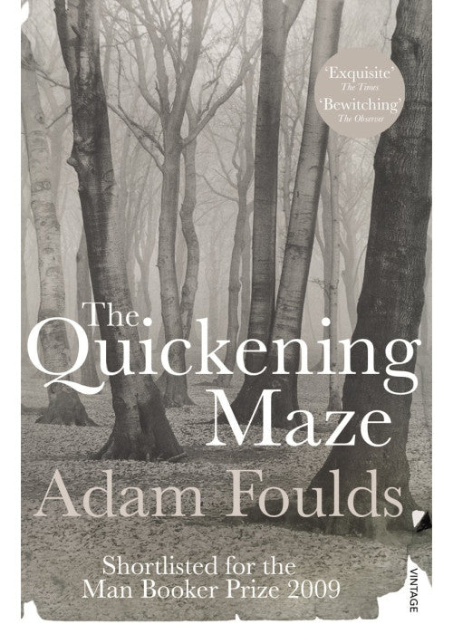 The Quickening Maze