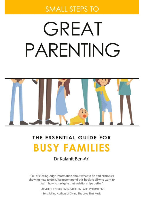 Small Steps to Great Parenting: The Essential Guide for Busy Families