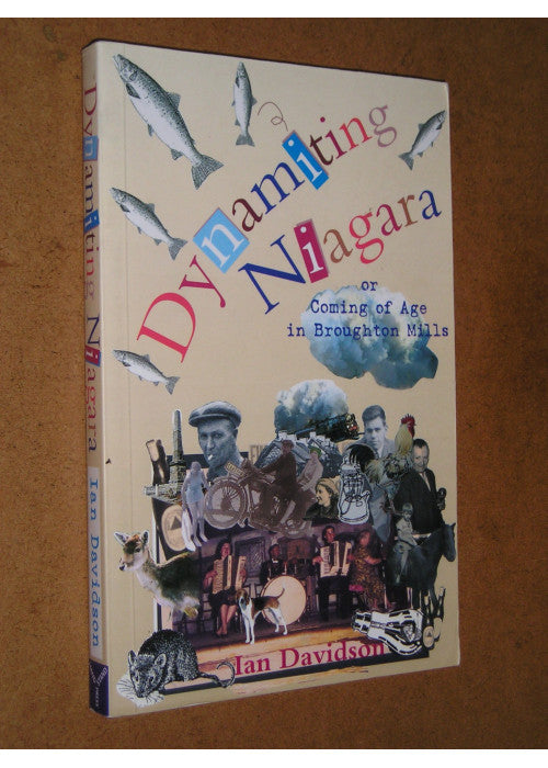 dynamiting niagara or coming of age in broughton mills