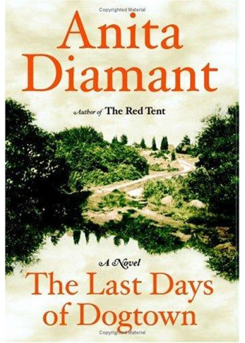 The Last Days of Dogtown