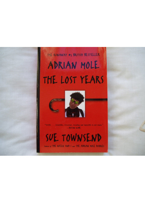 Adrian Mole: The Lost Years