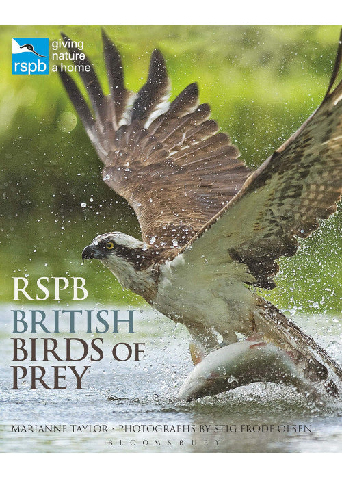 RSPB British Birds of Prey