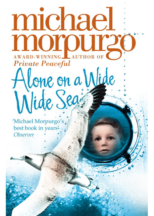 Alone on a Wide Wide Sea