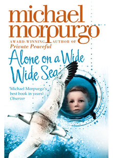 Alone on a Wide Wide Sea