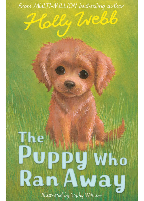The Puppy Who Ran Away: 48 (Holly Webb Animal Stories, 48)