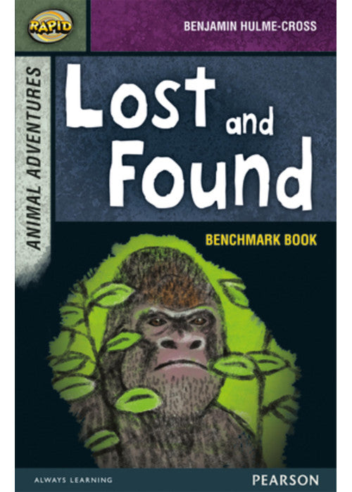 Rapid Stage 7 Assessment book: Lost and Found