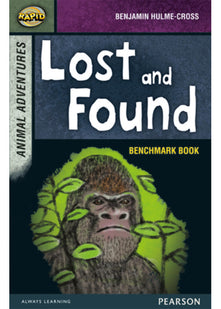 Rapid Stage 7 Assessment book: Lost and Found