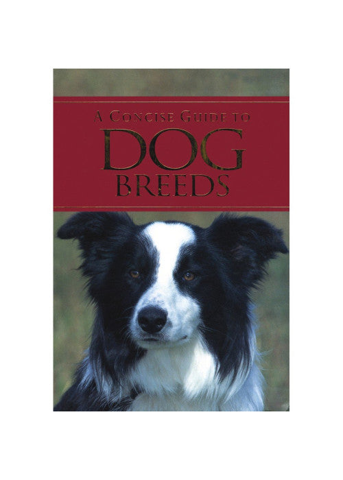 A Concise Guide to Dog Breeds