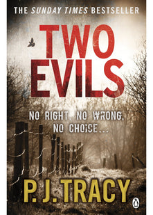 Two Evils: 6 (Twin Cities Thriller, 6)