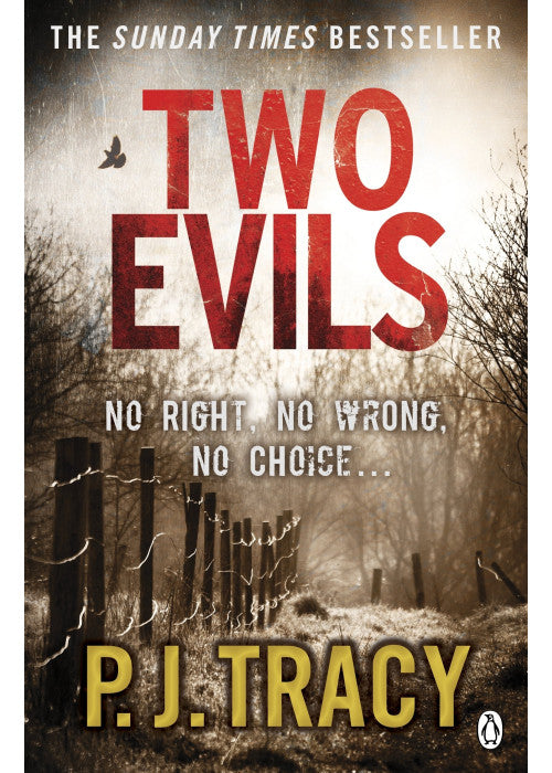 Two Evils: 6 (Twin Cities Thriller, 6)
