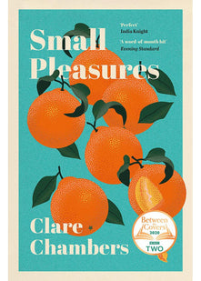 Small Pleasures: Longlisted for the Women’s Prize for Fiction 2021