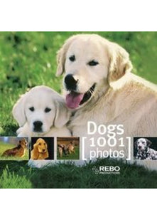 Dogs 1001 Photos (Cubebooks)