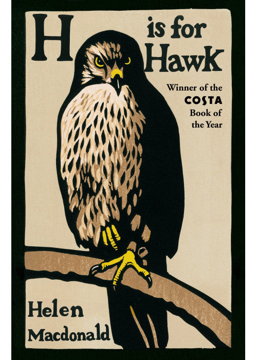 H is for Hawk: NOW A MAJOR NEW FILM