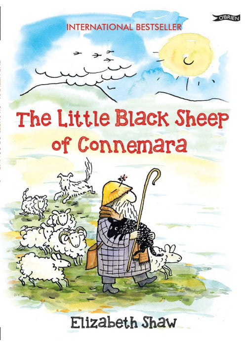 The Little Black Sheep of Connemara