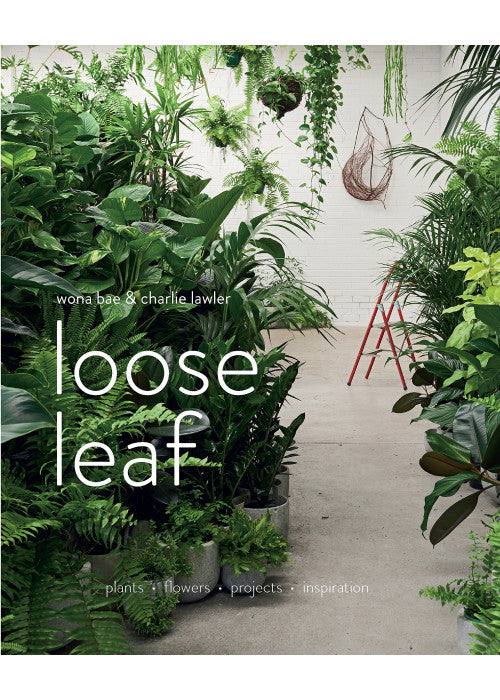 Loose Leaf