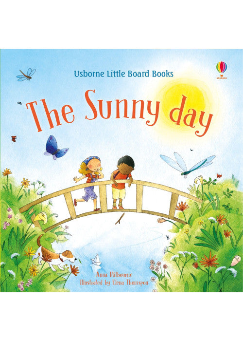 The Sunny Day (Little Board Books): 1