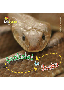 Snakelet to Snake (12) (LifeCycles)