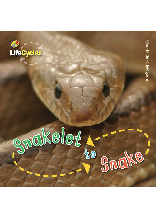 Snakelet to Snake (12) (LifeCycles)