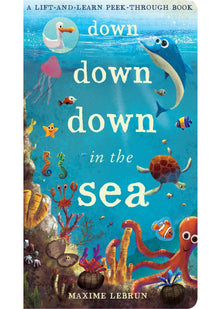 Down Down Down in the Sea: A lift-and-learn peek-through book (Lift & Learn Peek Through Book)