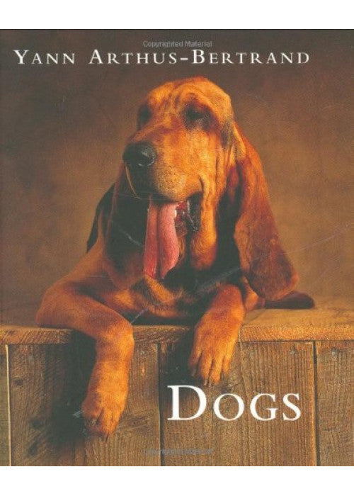 Dogs