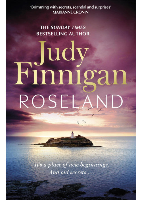 Roseland: The beautiful, heartrending new novel from the much loved Richard and Judy Book Club champion