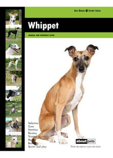 Whippet (Dog Breed Expert Series)