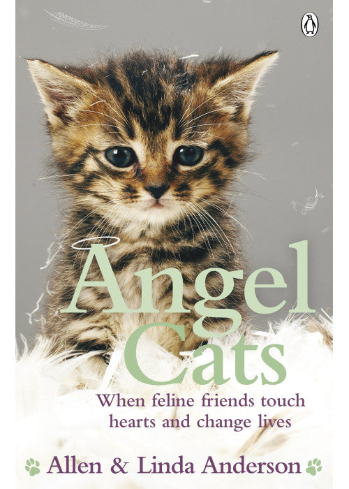Angel Cats: When feline friends touch hearts and change lives