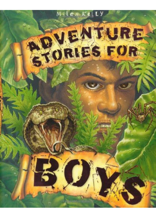 Adventure Stories for Boys